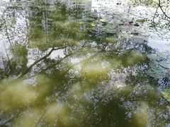 -四海公园(南山区)