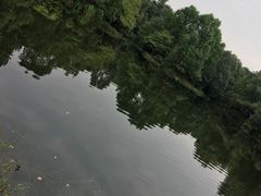 -邓小平故里