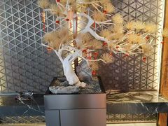 -稻香酒家·34年老字号·港式粤菜(侨光店)