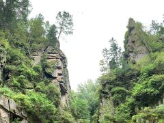 -茅兰沟国家森林公园