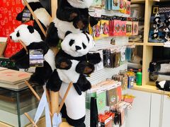 -熊猫邮局(少城店)