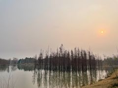 -白鹭湾湿地公园