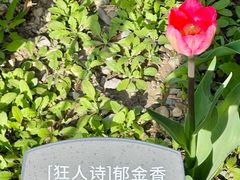 -国家植物园