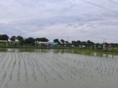 -梁鸿国家湿地公园