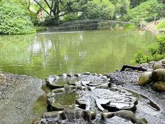 -成都市活水公园