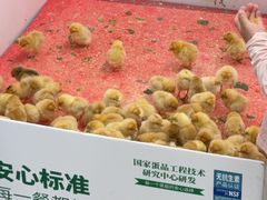 -大润发(张江店)