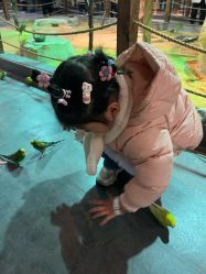 点击看大图 -酷嗒动物文化乐园(cutezoo西溪乐天城店)