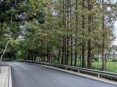 -上海佘山国家森林公园天马山园