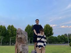 -合肥滨湖国家森林公园