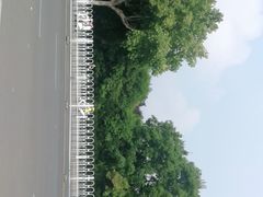 -淮海战役纪念馆
