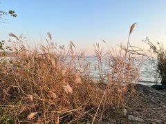 -上海市保健医疗中心