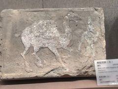 -敦煌市博物馆