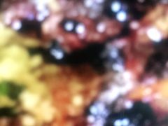 -长兴菜馆(高桥店)