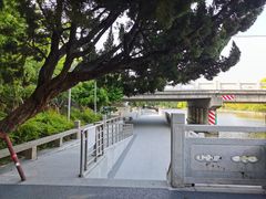 -嘉定紫藤园