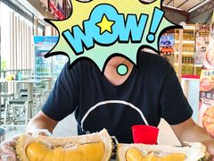 -都念榴莲·城市榴莲