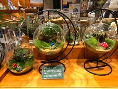 -西西弗书店&矢量咖啡(来福士广场店)