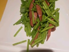 -素虎小呆鸟(西二旗店)