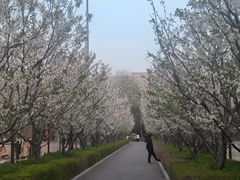 -北京化工大学(东校区)