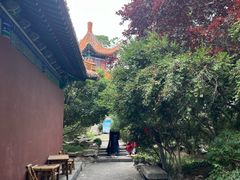 -戏马台景区