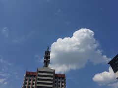 -芒果国际影城东风店