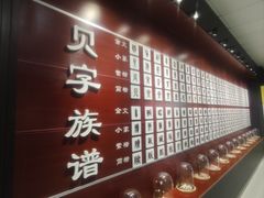 -青岛贝壳博物馆