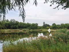 -永定河休闲森林公园