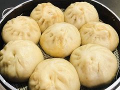 -天天大肉包