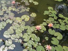 -蘇河湾·新鲁菜·泰山宴(泰山店)