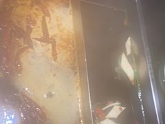 -五星桥原切肥牛火锅·30年专注好牛肉(湖塘店)