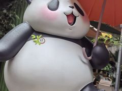 -轩客会(熊猫书店)