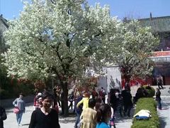 -艾山风景名胜区