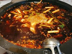 -费明中罗非鱼(大石坝店)