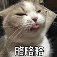 -渝味晓宇火锅(合川路店)