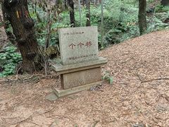 -宝岩生态观光园