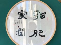 -飞行喵MR PILOT|猫舍·猫咖(静安大融城店)