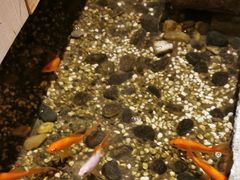 -邈墨茶馆(凤起路店)