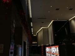 -深影国际影城(学院南路店CGS中国巨幕店)