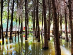 -捞渔河湿地公园