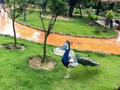 -福建鲤鱼洲酒店