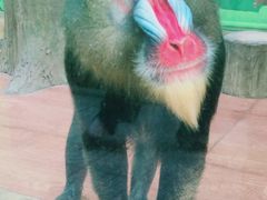 -荆州中山公园动物园