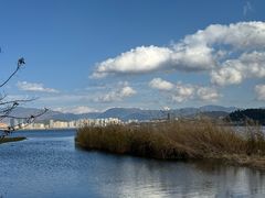 -洱海月湿地公园