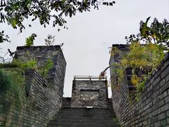 -水绘园