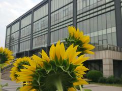 -北京师范大学邱季端体育馆