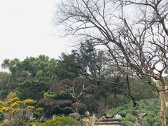 -上海醉白池公园
