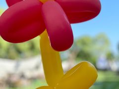 -不觉晓CAMPING(上海迪士尼营地店)