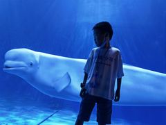 -多彩贵州城极地海洋世界