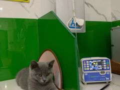 -瑞鹏瑞爱宠物医院·全科·猫科·血液透析中心(龙头寺店)