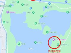 -顺峰山公园