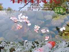 -静安雕塑公园