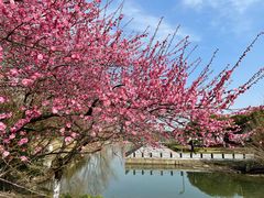 -白塘生态植物园